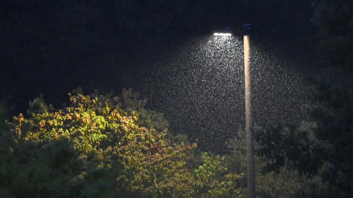 ABD’nin elektrik talebinin yüzde 16 artacağı öngörülüyor